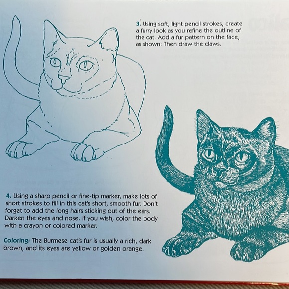 🌈2/$8  The Big Book of Drawing Dogs and Cats - Picture 11 of 12